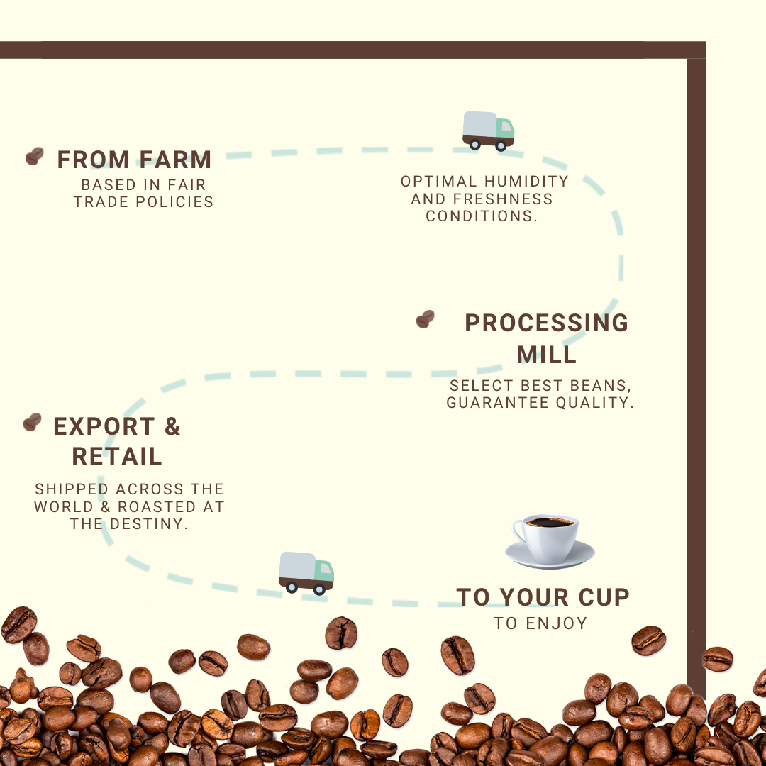 The supply chain of Colombian coffee | Urbantz